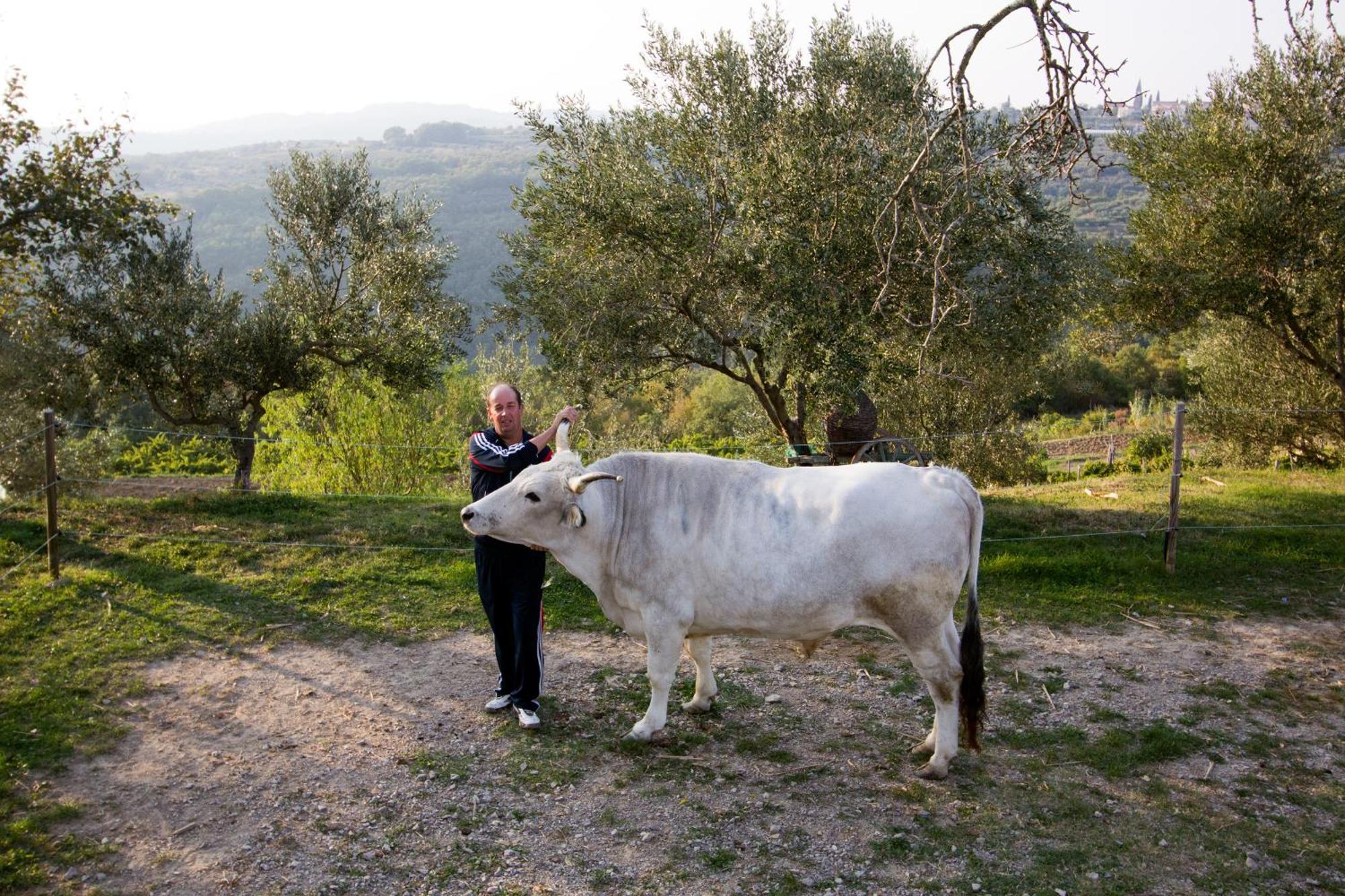 Tourist Farm Robivera Smarje  Luaran gambar